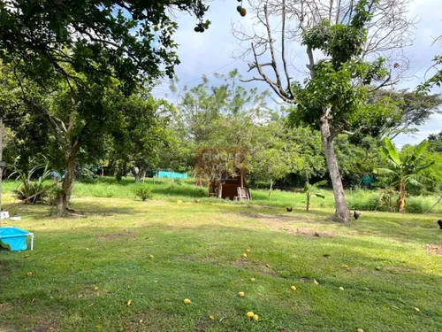 Villa Gorgona, 12.800 M2, Finca En Venta