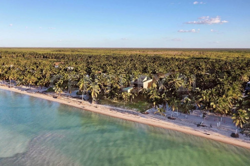 Imagen 27 de 30 de Lotes Residenciales De 200m2 En Telchac Puerto, Yucatán