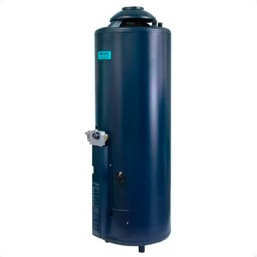 Termotanque Multigas Eskabe Acquapiu Hybrid 4 H1100 1100l