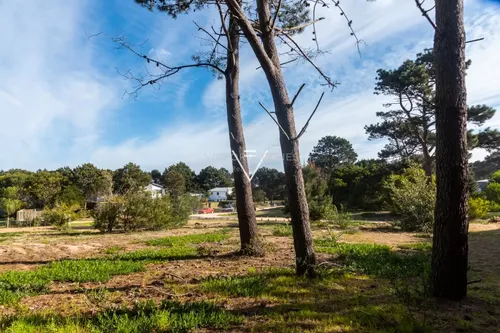 Venta Terreno Pinar Del Faro, 1000 Mts (pfg11)