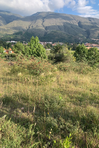 Lote Cerca A Circunvalar