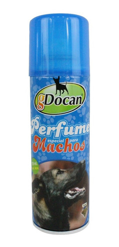 Pechera De Piel #2 Café Conjunto De 4 Productos Macho