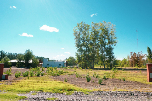 Imagen 5 de 26 de Terreno 1.000 M2 - B° Rincon De Natalia - Plottier
