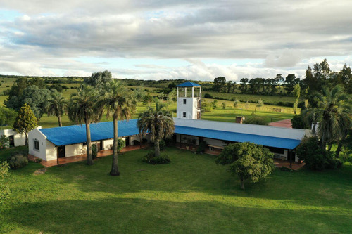 Venta De Campo De 86 Hectareas En Garzon Maldonado