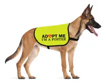 Comprar Cenwa Adopt Me I?m A Foster Dog Jacket Chaleco Adopt Me Dog 