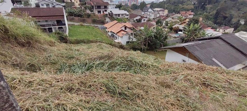 Imagem 7 de 12 de Terreno À Venda, 450 M² Por R$ 150.000,00 - Escola Agrícola - Blumenau/sc - Te0093