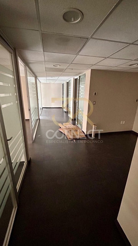 Oficina En Renta En Anzures 7c/3b/1e - Excelente Ubicación - 163m2