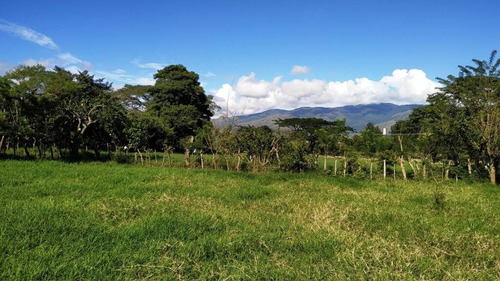 Imagen 8 de 15 de Tibisay Rojas Vende Finca A Pie De Carretera En Aguirre Cerca De Polar.cód.: 165595. Telf. 0414-4173701.