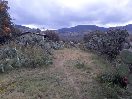 Imagen 11 de 12 de Terreno Comercial En Venta Dos Carlos Pueblo Nuevo