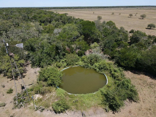 Imagen 22 de 30 de Campo Ganadero 3220 Ha - ( 420 Agrícolas ) Reconquista - Prov. De Santa Fe