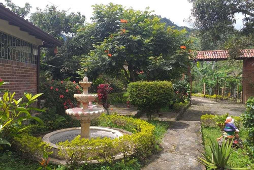 Venta Finca - Tena, Cundinamarca - Vereda Guasimal-8460