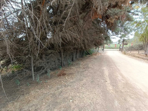 Parcela En Venta Bosque Santa Cecilia (95282)