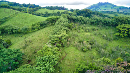 Terreno En Venta En Santiago Tuxtla Veracruz Mexico