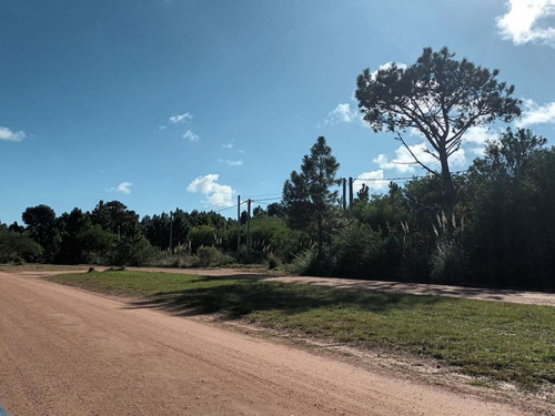Terrenos En Punta Del Diablo, Zona Avenida Central, Bosque.