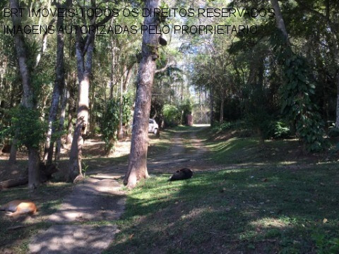 Imagem 27 de 30 de Chacara - Ch00308 - 68152859