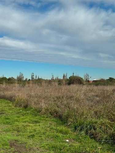 Parcela De 5000m2 En Portal Quillon  (175523)