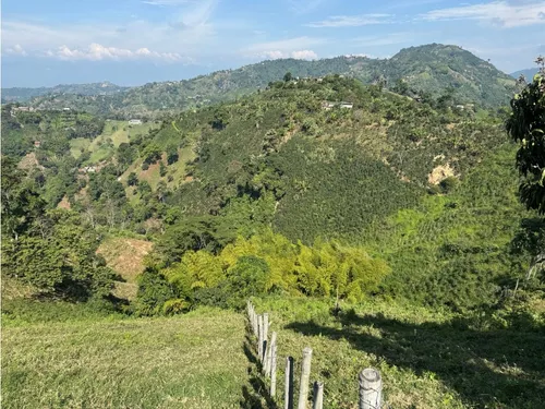 Lote En Venta En Vereda La Aurora Manizales | Venta Terreno