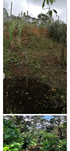 Venta De Finca De 8500mt2 En Dagua, Valle Del Cauca 6060.