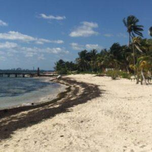 Atractivo Terreno Hotelero En Nuevo Cancun / Punta Sam