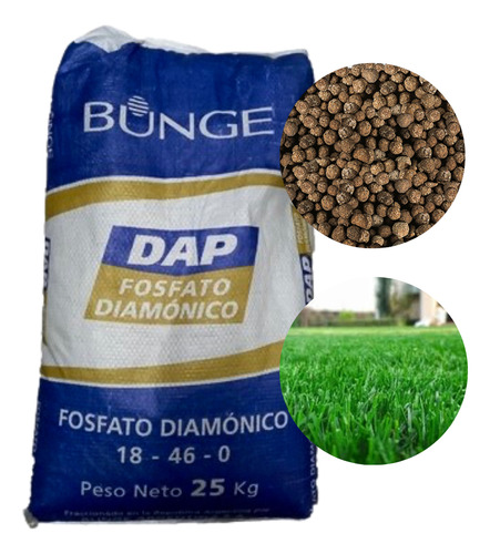 Fertilizante Iniciador Fosfato Diamonico Dap - 1 Kg