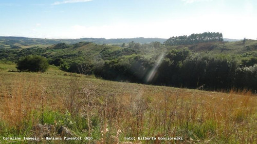 Área Rural Para Venda Em Mariana Pimentel, Boqueirão - 1153_1-779115