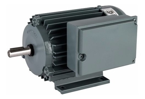 Imagen 1 de 9 de Motor Monofasico 0.75hp Blindado Alto Par A90smc