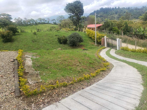 Imagen 24 de 29 de Vendo Finca En Subía Silvania 28.000 M2