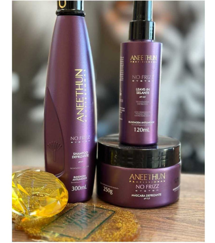 Shampoo Defrizante No Frizz Aneethun 300ml Antiumidade