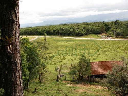 Linda Chácara Em Garuva 80.000m2 Fácil Acesso Para Br 101 Estuda Permuta - Sa00649 - 33844836
