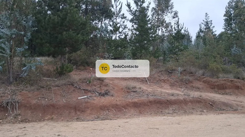 Parcela En Venta En Navidad - 5.000 M2 Tumán