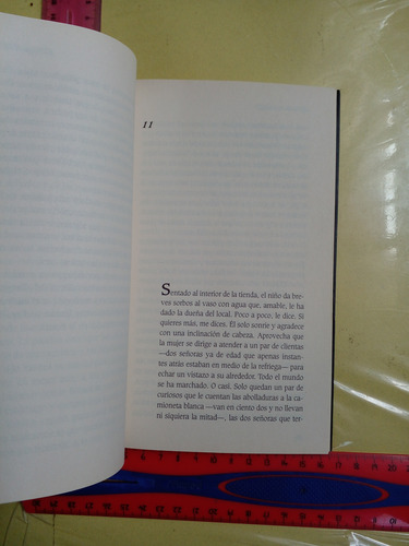 El Viaje A La Nada Alfredo Ruiz Islas (Usado)