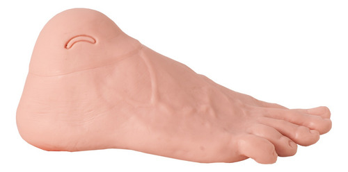 Modelo Anatômico Pé Diabético Avançado Anatomic