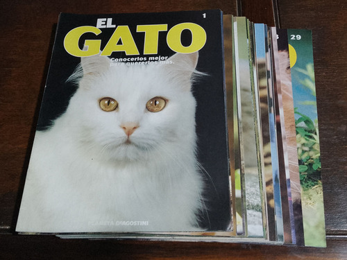 Revista El Gato Editorial Deagostini (Usado)