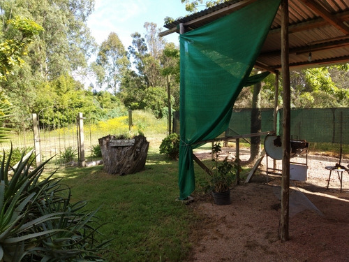 Imagen 2 de 22 de Casa Para Alquilar En Balneario San Luis Temporada X Dia Contado O Credito