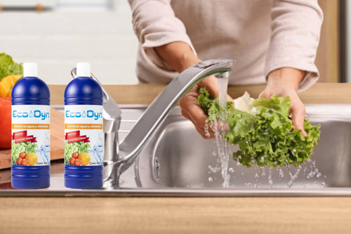 Desinfectante Ecodyn De Agua Y Alimentos 2 Botellas De 1 L