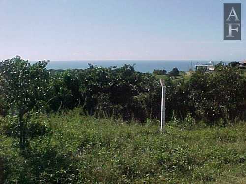 Imagem 2 de 12 de Terreno Para Venda Em Morro Da Silveira Garopaba-sc - Tv335
