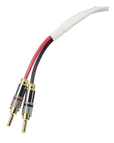 Blue Jeans Cable Diez Blanco Altavoz Cable, Con Soldadura Pl