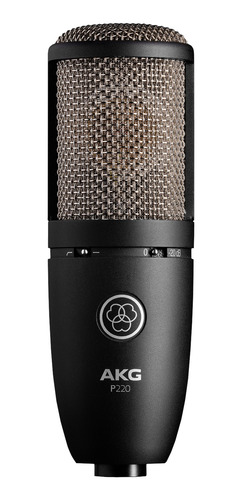 Imagen 1 de 1 de Micrófono AKG P220 condensador  cardioide negro