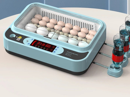 Incubadora De 36 Y 15 Huevos Automáticas