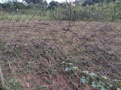 Imagem 4 de 4 de Terreno - Ref: 9033