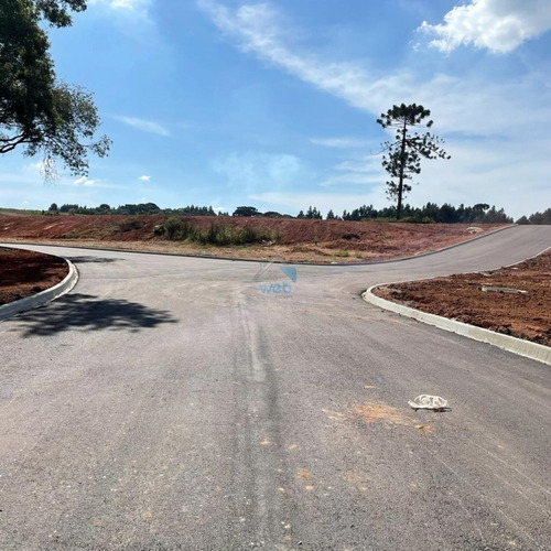 Imagem 2 de 12 de Terreno À Venda No Loteamento Vista Alegre, Bairro Costeira Em Araucária. Podendo Ser Parcelado Junto A Loteadora. - Te00150 - 70755622