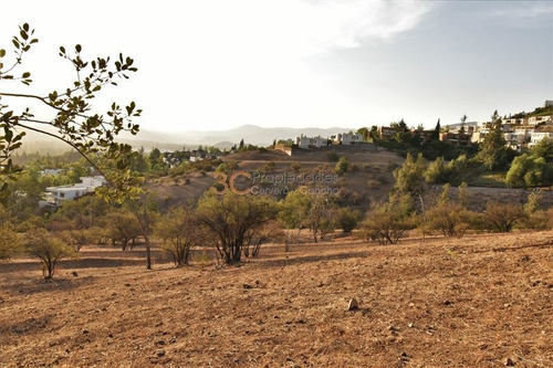Imagen 18 de 30 de Inmobiliaria / Colegio Mayflower / Terreno Para Proyecto