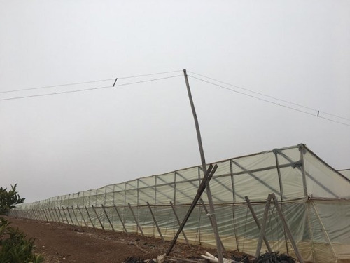 Predio Agrícola, Ovalle
