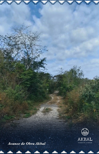 Imagen 11 de 15 de Lotes De Inversión En Yucatán · Temozón ·