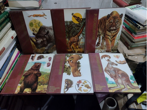 Nueva Enciclopedia Del Reino Animal Mamíferos 6 Tomos Rp39