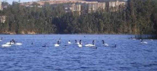 Imagen 4 de 6 de Laguna Grande