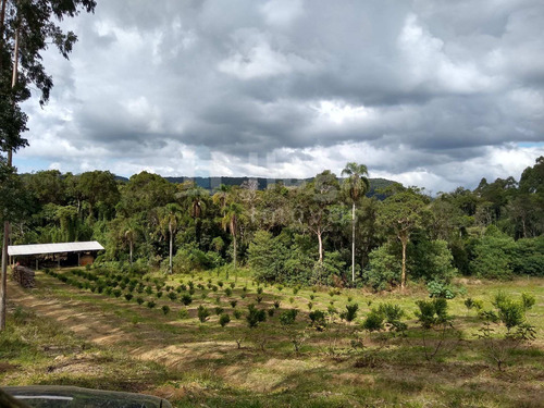 Sítio A Venda Em Rio Dos Cedros/sc - 1742