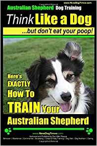 Australian Shepherd Dog Training | Think Like A Dog, But Don