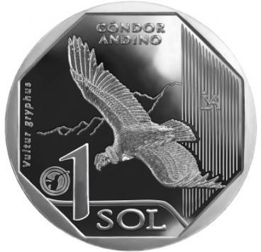 Peru - Condor Andino - Fauna Silvestre 1 Sol 2017