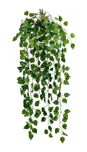 Enredadera 95 Cms Hoja Mata Verde 9 Ramas